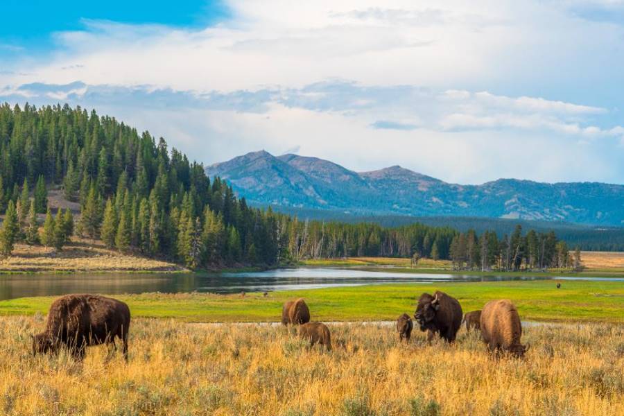 Best U.S National Parks to Visit in 2024